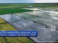 Video: Mentan Yakin Merauke Jadi Lumbung Pangan Indonesia Timur