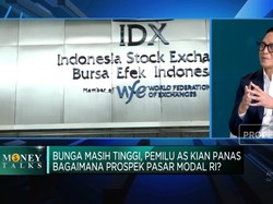 Dibalik Turunnya Tren IPO, Bos Mandiri Sekuritas Ungkap Fakta Ini