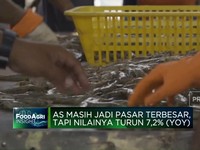 Video: Ekspor Hasil Perikanan RI Di Semester I Tembus USD 2,71 Miliar
