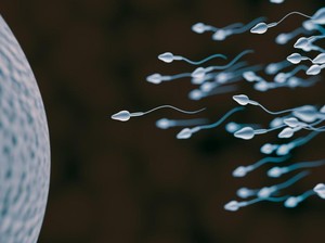 Ciri Pria Panjang Umur, Spermanya Sehat