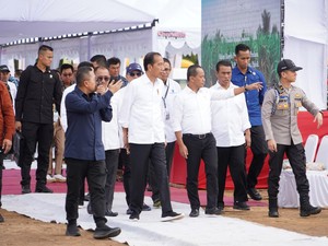 Dampingi Jokowi Tanam Tebu di Merauke, Bahlil Pede RI Bakal Swasembada Gula!