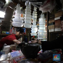 Warga RI Juara 1 Telan Mikroplastik, Hewan Ini Bisa Jadi Penyelamat