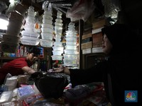 Warga RI Juara 1 Telan Mikroplastik, Hewan Ini Bisa Jadi Penyelamat