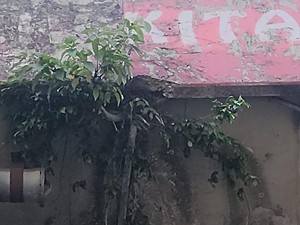 Polisi Koordinasi dengan Pemkot soal Pecahan Batu Rontok di Flyover Ciputat