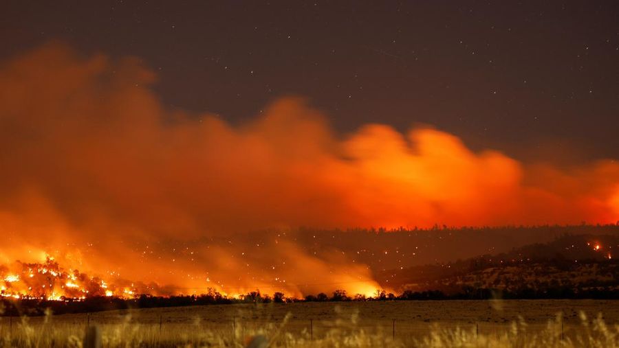 A firefighter works as Park Fire burns near Chico, California, U.S. July 24, 2024.  REUTERS/Fred Greaves
