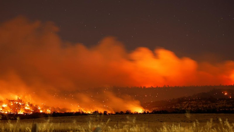 Seorang petugas pemadam kebakaran bekerja saat Park Fire terbakar di Chico, California, AS pada 24 Juli 2024.  REUTERS/Fred Greaves