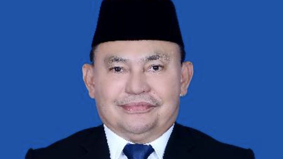Anggota DPR Ujang Iskandar. (DPR.go.id)