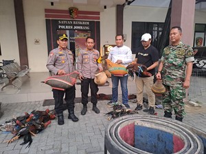 Arena Sabung Ayam Dekat Ponpes di Jombang yang meresahkan Digerebek