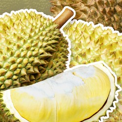 Jangan Kaget, 6 Makanan-Minuman ini tak boleh Disantap bersama Durian
