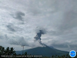 Gunung Lewotobi Laki-laki Meletus, Kolom Abu Capai 800 Meter