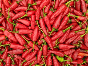 Harga Cabai Merah di Sumut Tembus Rp 80 Ribu per Kg