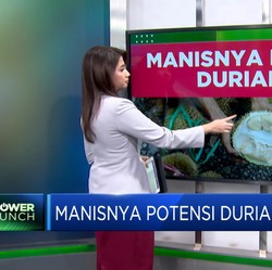 Video: Manisnya Potensi Durian RI