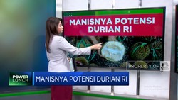 Video: Manisnya Potensi Durian RI
