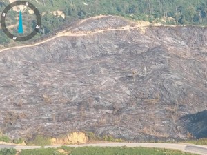 20 Hektare Lahan di Perbukitan Rokan Hulu Hangus, Diduga Dibakar