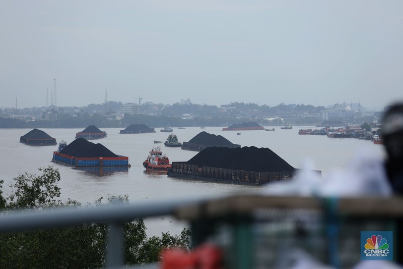 Sejumlah perahu tongkang batu bara melintas di Sungai Mahakam, Kota Samarinda, Kalimantan Timur, Rabu (24/7/2024). Sungai Mahakam berfungsi sebagai jalur pengangkutan batu bara. Setiap hari di sungai ini dipadati tongkang yang membawa muatan batu bara. (CNBC Indonesia/Tri Susilo) Sejumlah perahu tongkang batu bara melintas di Sungai Mahakam, Kota Samarinda, Kalimantan Timur, Rabu (24/7/2024). Sungai Mahakam berfungsi sebagai jalur pengangkutan batu bara. Setiap hari di sungai ini dipadati tongkang yang membawa muatan batu bara. (CNBC Indonesia/Tri Susilo)