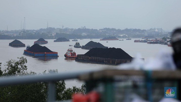 Sejumlah perahu tongkang batu bara melintas di Sungai Mahakam, Kota Samarinda, Kalimantan Timur, Rabu (24/7/2024). Sungai Mahakam berfungsi sebagai jalur pengangkutan batu bara. Setiap hari di sungai ini dipadati tongkang yang membawa muatan batu bara. (CNBC Indonesia/Tri Susilo)