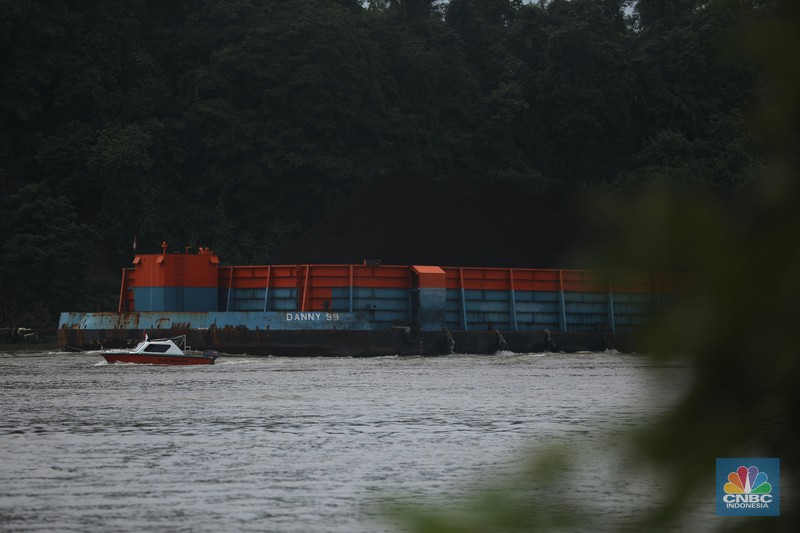 Sejumlah perahu tongkang batu bara melintas di Sungai Mahakam, Kota Samarinda, Kalimantan Timur, Rabu (24/7/2024). Sungai Mahakam berfungsi sebagai jalur pengangkutan batu bara. Setiap hari di sungai ini dipadati tongkang yang membawa muatan batu bara. (CNBC Indonesia/Tri Susilo) Sejumlah perahu tongkang batu bara melintas di Sungai Mahakam, Kota Samarinda, Kalimantan Timur, Rabu (24/7/2024). Sungai Mahakam berfungsi sebagai jalur pengangkutan batu bara. Setiap hari di sungai ini dipadati tongkang yang membawa muatan batu bara. (CNBC Indonesia/Tri Susilo)