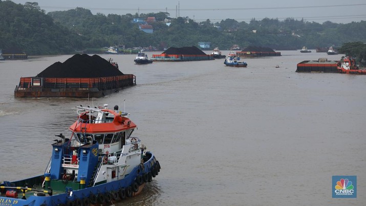 Sejumlah perahu tongkang batu bara melintas di Sungai Mahakam, Kota Samarinda, Kalimantan Timur, Rabu (24/7/2024). Sungai Mahakam berfungsi sebagai jalur pengangkutan batu bara. Setiap hari di sungai ini dipadati tongkang yang membawa muatan batu bara. (CNBC Indonesia/Tri Susilo)