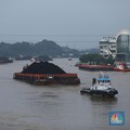 Ini Dia 5 Raja Tambang Batu Bara di RI