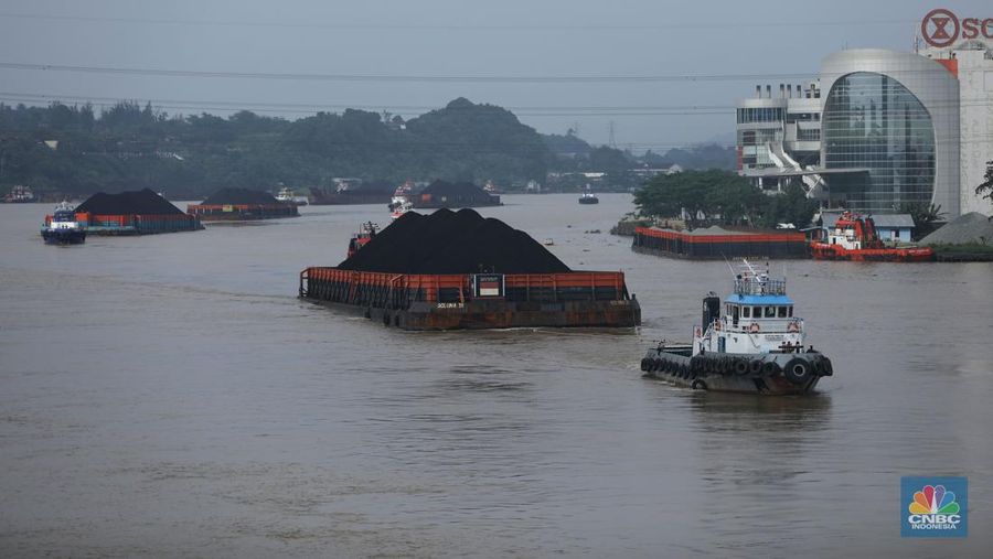 Sejumlah perahu tongkang batu bara melintas di Sungai Mahakam, Kota Samarinda, Kalimantan Timur, Rabu (24/7/2024). Sungai Mahakam berfungsi sebagai jalur pengangkutan batu bara. Setiap hari di sungai ini dipadati tongkang yang membawa muatan batu bara. (CNBC Indonesia/Tri Susilo)