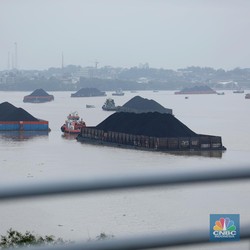 Wow, Produksi Batu Bara RI Tembus 784,87 Juta Ton per Desember 2024