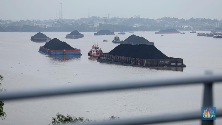 Sejumlah perahu tongkang batu bara melintas di Sungai Mahakam, Kota Samarinda, Kalimantan Timur, Rabu (24/7/2024). Sungai Mahakam berfungsi sebagai jalur pengangkutan batu bara. Setiap hari di sungai ini dipadati tongkang yang membawa muatan batu bara. (CNBC Indonesia/Tri Susilo)