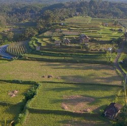 Mantap! Angseri jadi Desa BRILiaN dengan Tata Kelola Terbaik