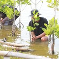 BRI Salurkan Ribuan Bibit Mangrove ke Kelompok Tani di Muaragembong
