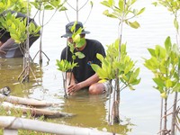 BRI Salurkan Ribuan Bibit Mangrove ke Kelompok Tani di Muaragembong