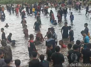Tumplek Blek Warga Berburu Ikan Saat Tradisi Gramak Iwak di Banjarnegara