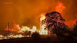 Kebakaran Dasyat Hanguskan Ratusan Ribu Hektar Hutan di California