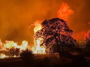 Kebakaran Dasyat Hanguskan Ratusan Ribu Hektar Hutan di California