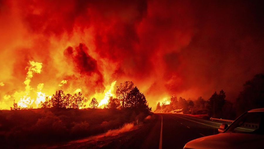 Kebakaran hutan di Tehama County, California, AS, Jumat (26/7/2024). (AP Photo/Noah Berger)