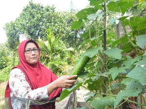 Tanam Aneka Sayur di Pekarangan Jadi Tambahan Pendapatan Warga Muara Enim