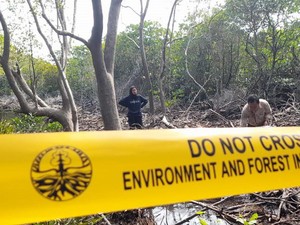 4 Pekerja Tambang Emas Ilegal di Gorontalo Ditangkap, 1 Ekskavator Disita