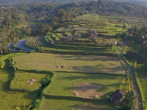Mengenal Desa Angseri, Desa BRILiaN dengan Tata Kelola Terbaik di Bali