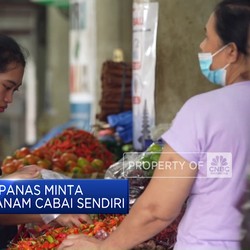 Harga Naik, Bapanas Minta Masyarakat Tanam Cabai Sendiri