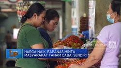 Harga Naik, Bapanas Minta Masyarakat Tanam Cabai Sendiri