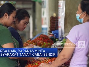 Harga Naik, Bapanas Minta Masyarakat Tanam Cabai Sendiri