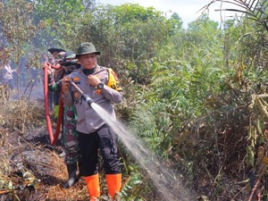 39 Ha Lahan Terbakar di Rohil Dipadamkan, 2 Pelaku Ditangkap