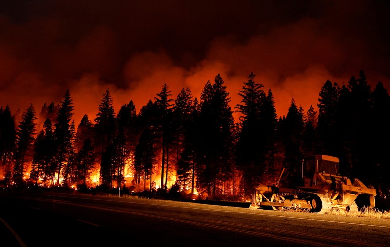 Kebakaran hutan di Jonesville, California, Amerika Serikat (AS), Minggu (28/7/2024). (REUTERS/Fred Greaves)