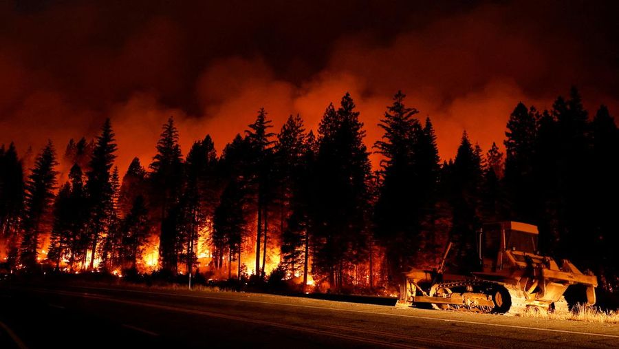 Kebakaran hutan di Jonesville, California, Amerika Serikat (AS), Minggu (28/7/2024). (REUTERS/Fred Greaves)