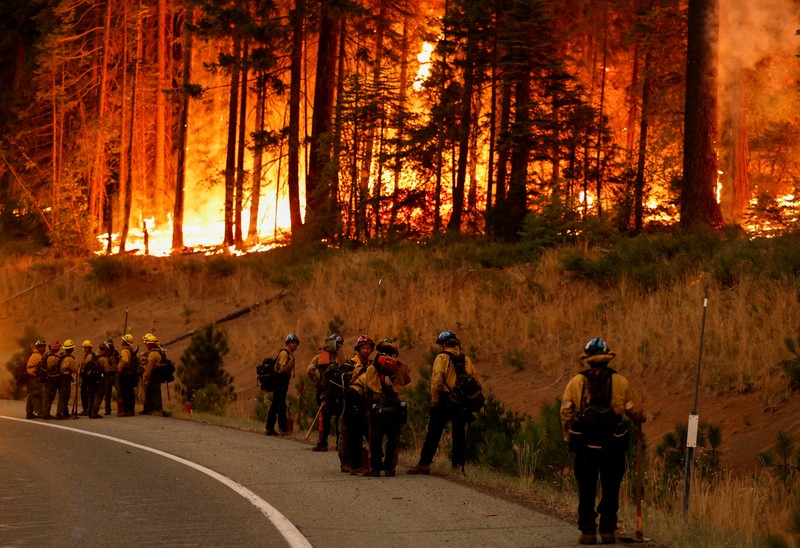 Kebakaran hutan di Jonesville, California, Amerika Serikat (AS), Minggu (28/7/2024). (REUTERS/Fred Greaves)