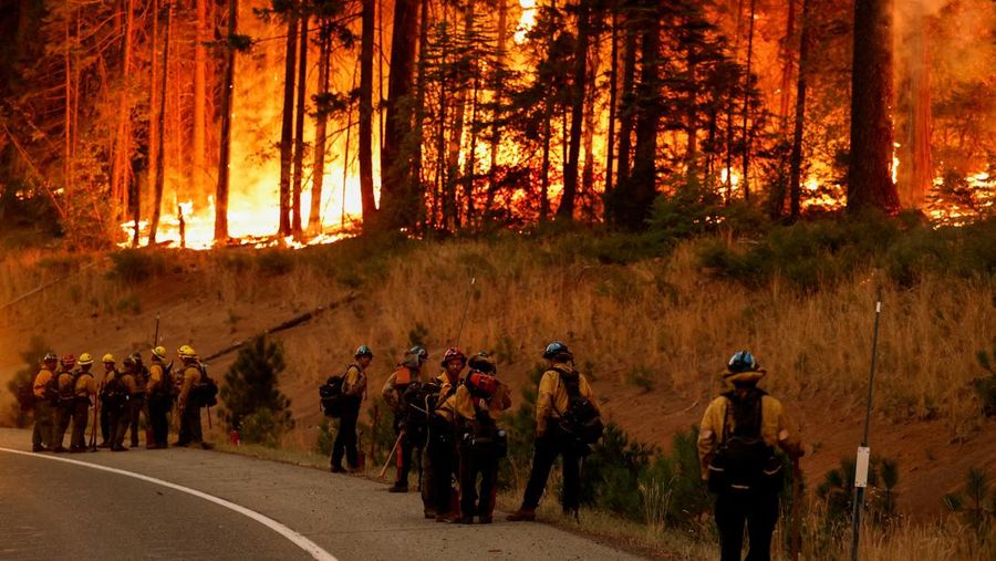Kebakaran hutan di Jonesville, California, Amerika Serikat (AS), Minggu (28/7/2024). (REUTERS/Fred Greaves)