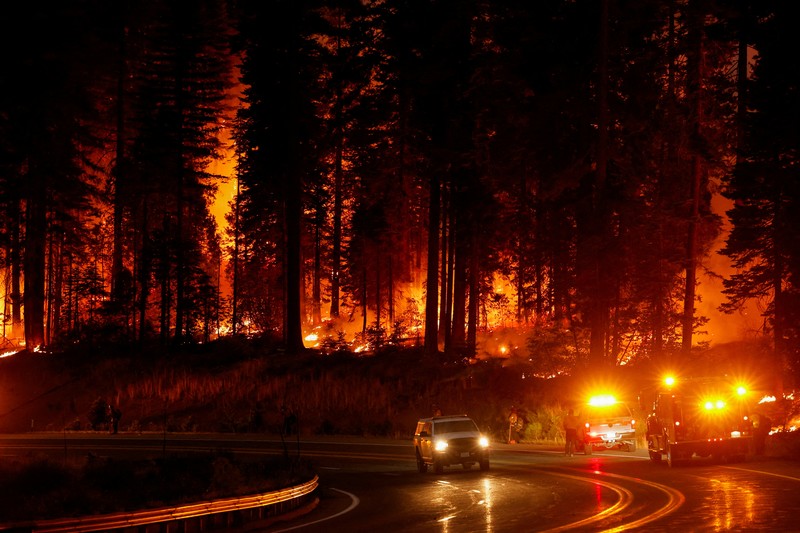 Kebakaran hutan di Jonesville, California, Amerika Serikat (AS), Minggu (28/7/2024). (REUTERS/Fred Greaves)
