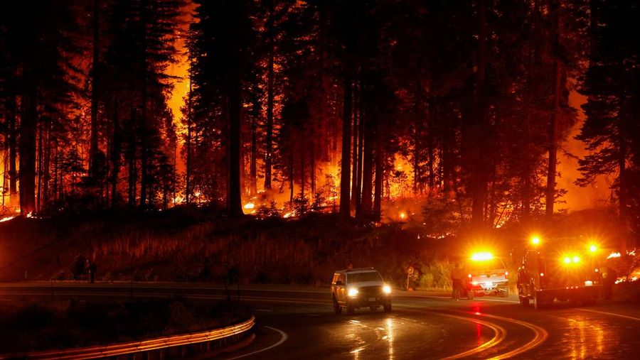 Kebakaran hutan di Jonesville, California, Amerika Serikat (AS), Minggu (28/7/2024). (REUTERS/Fred Greaves)