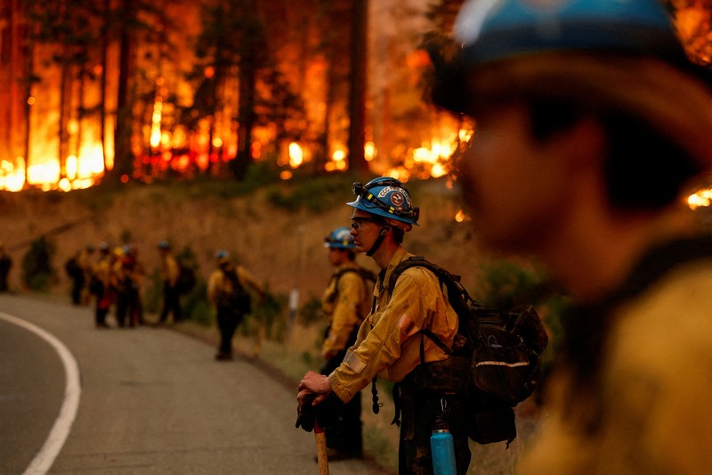 Kebakaran hutan di Jonesville, California, Amerika Serikat (AS), Minggu (28/7/2024). (REUTERS/Fred Greaves) Kebakaran hutan di Jonesville, California, Amerika Serikat (AS), Minggu (28/7/2024). (REUTERS/Fred Greaves)