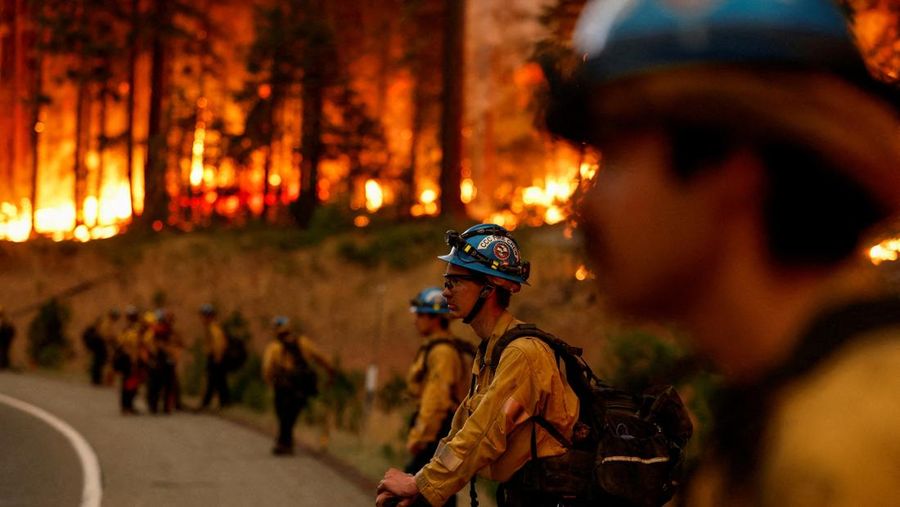 Kebakaran hutan di Jonesville, California, Amerika Serikat (AS), Minggu (28/7/2024). (REUTERS/Fred Greaves)