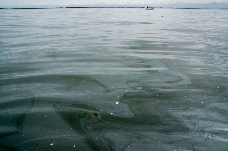 Pemandangan tumpahan minyak di perairan lepas pantai Teluk Manila, di Pamarawan, Malolos, Filipina, Senin (29/7/2024). (REUTERS/Adrian Portugal)