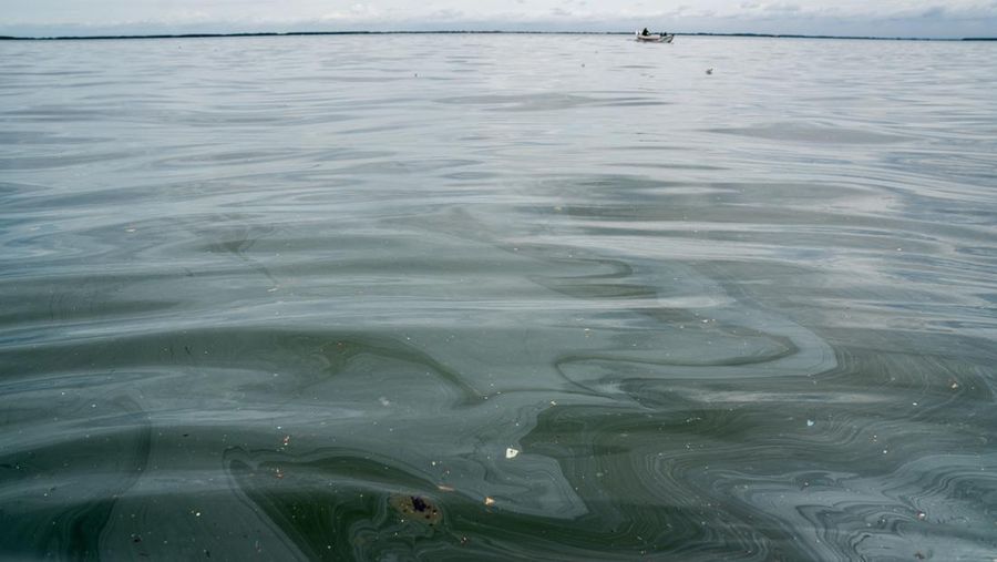 Pemandangan tumpahan minyak di perairan lepas pantai Teluk Manila, di Pamarawan, Malolos, Filipina, Senin (29/7/2024). (REUTERS/Adrian Portugal)